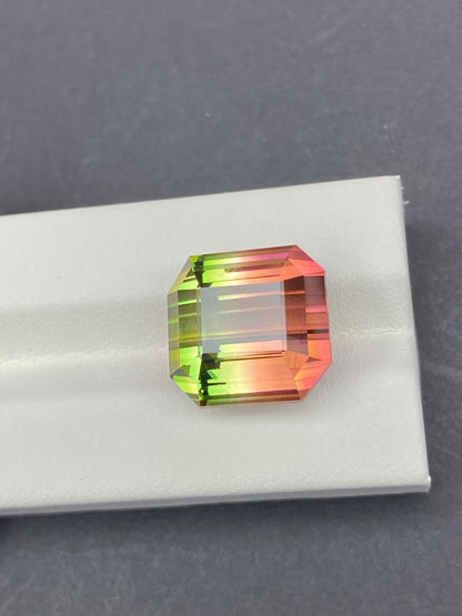 22.49CT NATURAL BRAZIL WATERMELON TOURMALINE STONE